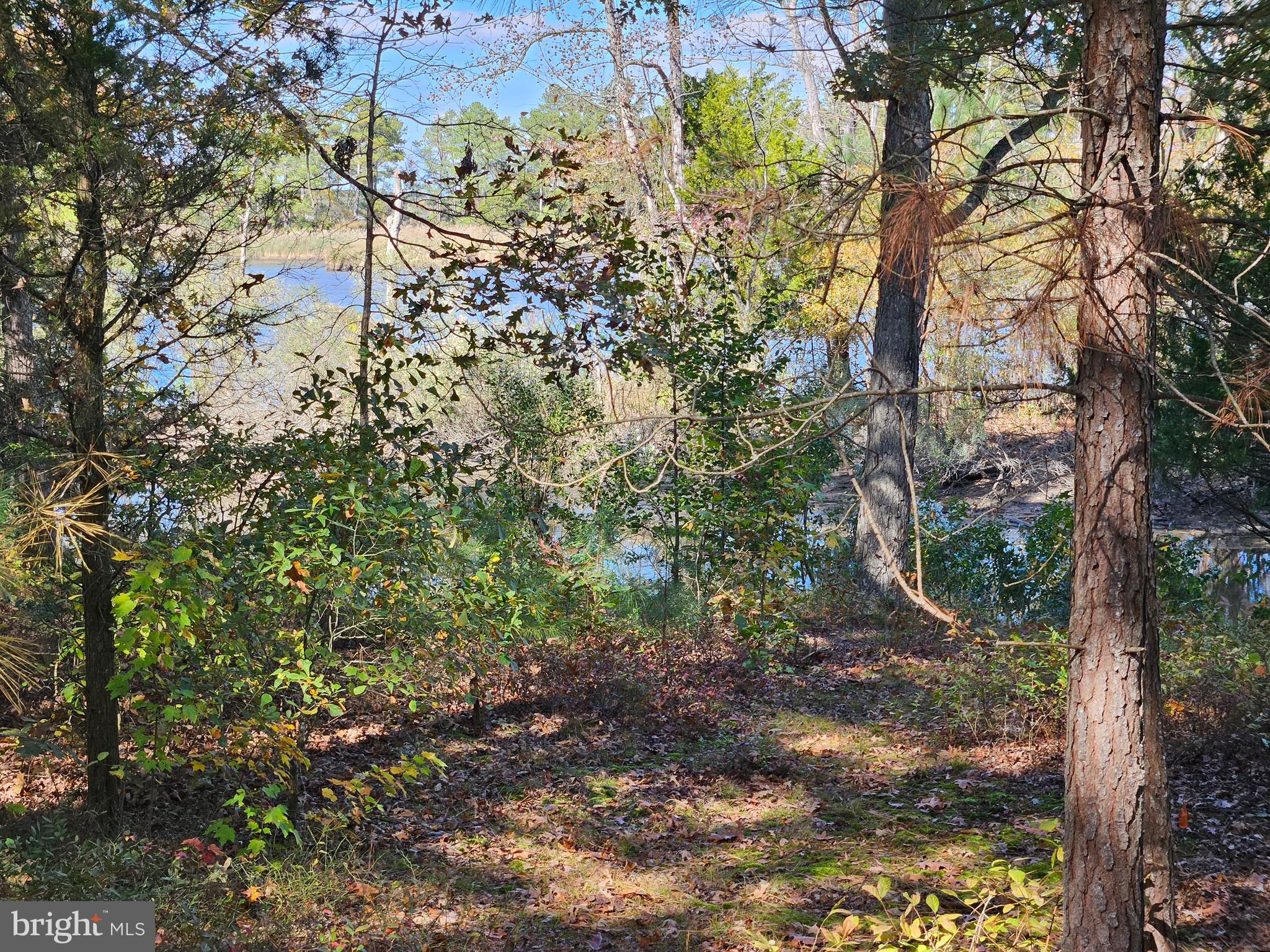 4935 EDMONDSON CREEK ROAD