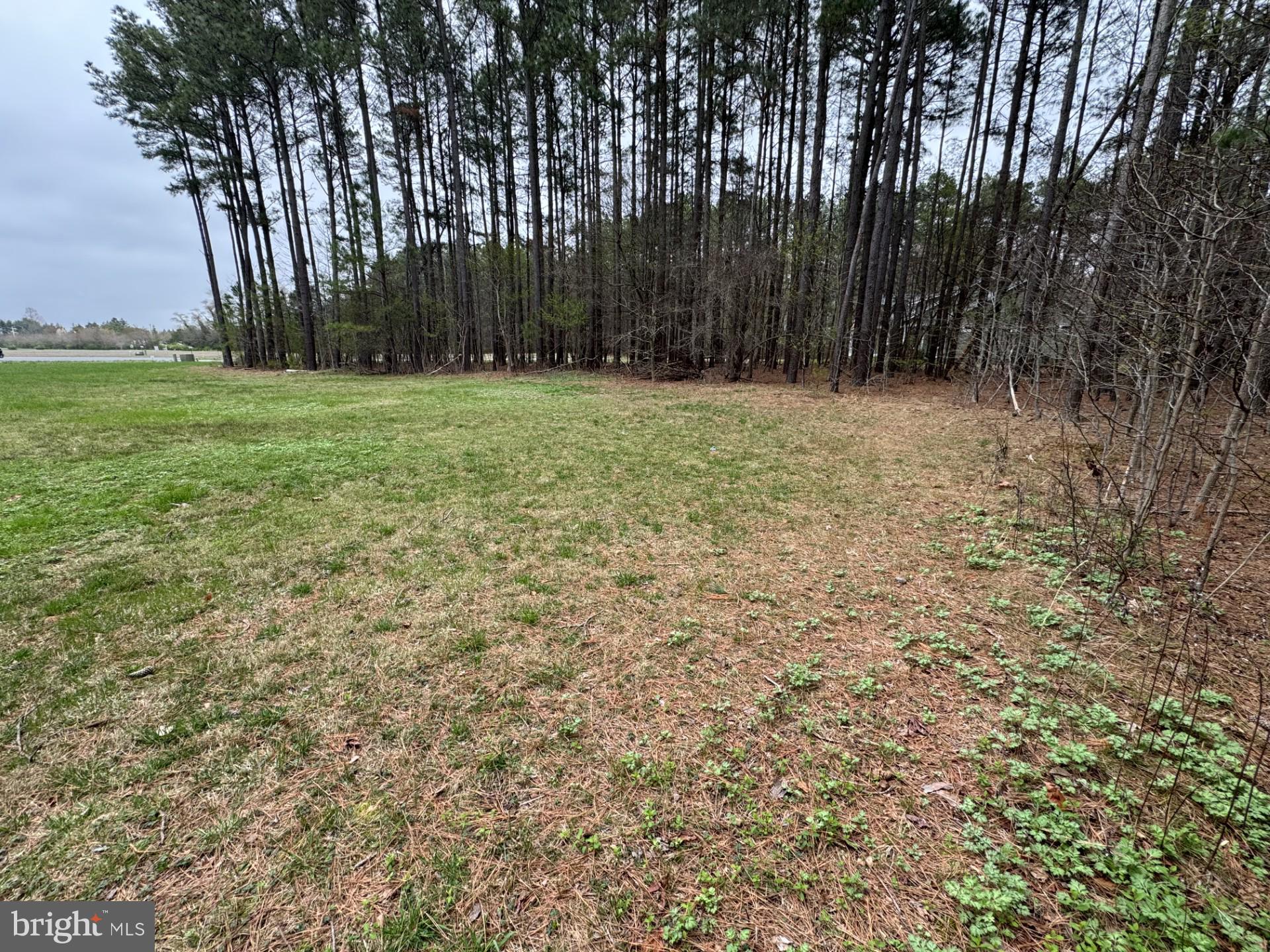 6002 BLUE HERON DRIVE