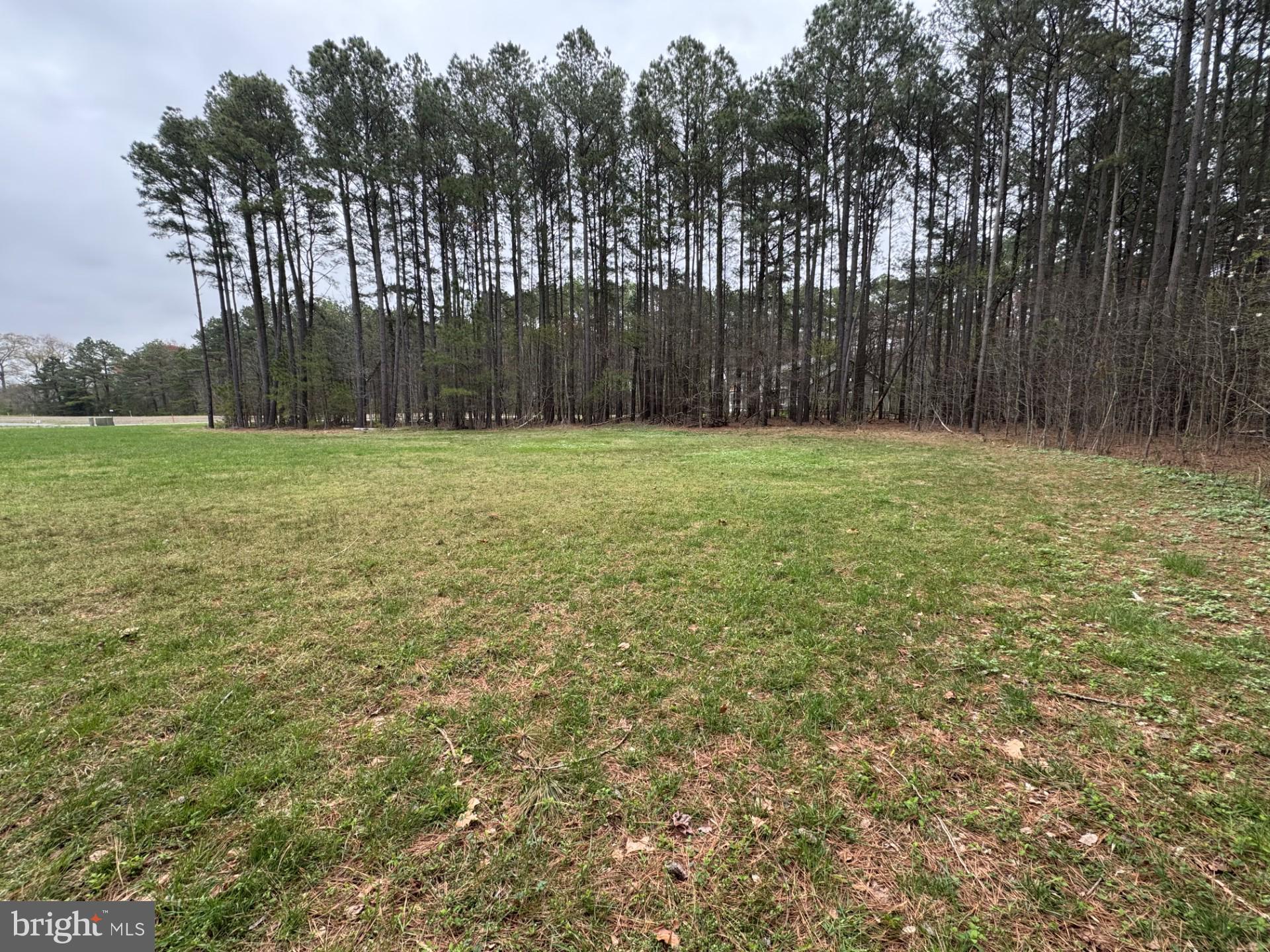 6002 BLUE HERON DRIVE