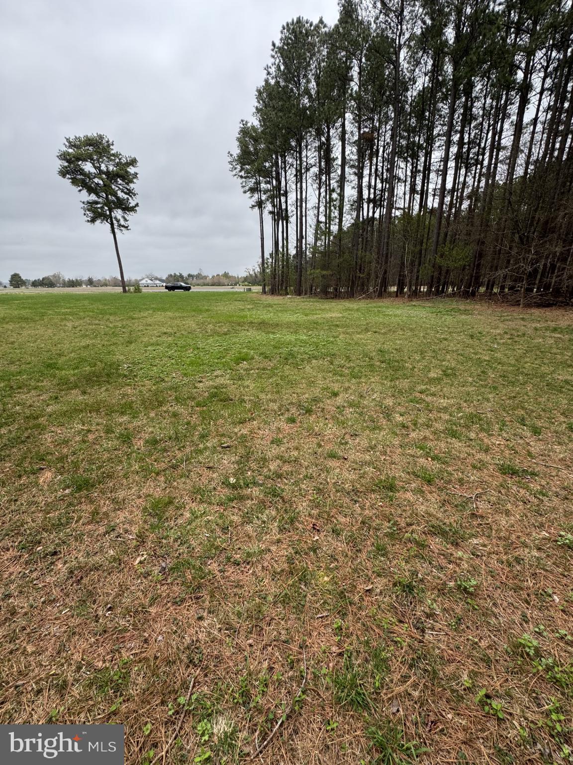 6002 BLUE HERON DRIVE