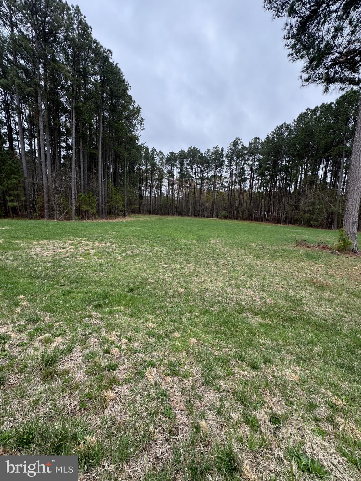 6002 BLUE HERON DRIVE