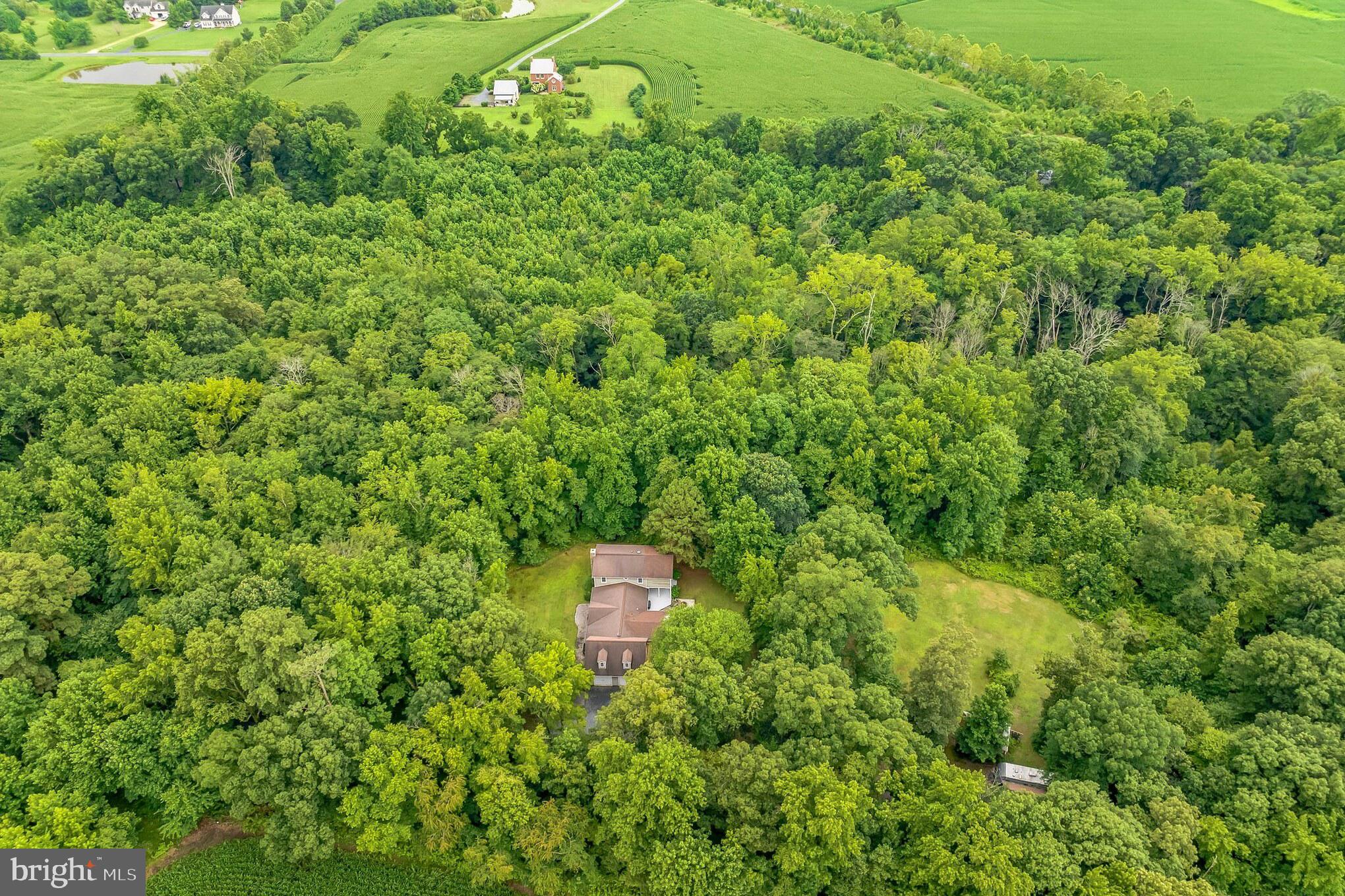 11568 Old Cordova Rd