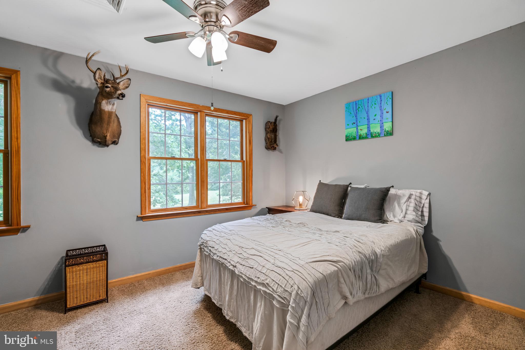 11568 Old Cordova Rd