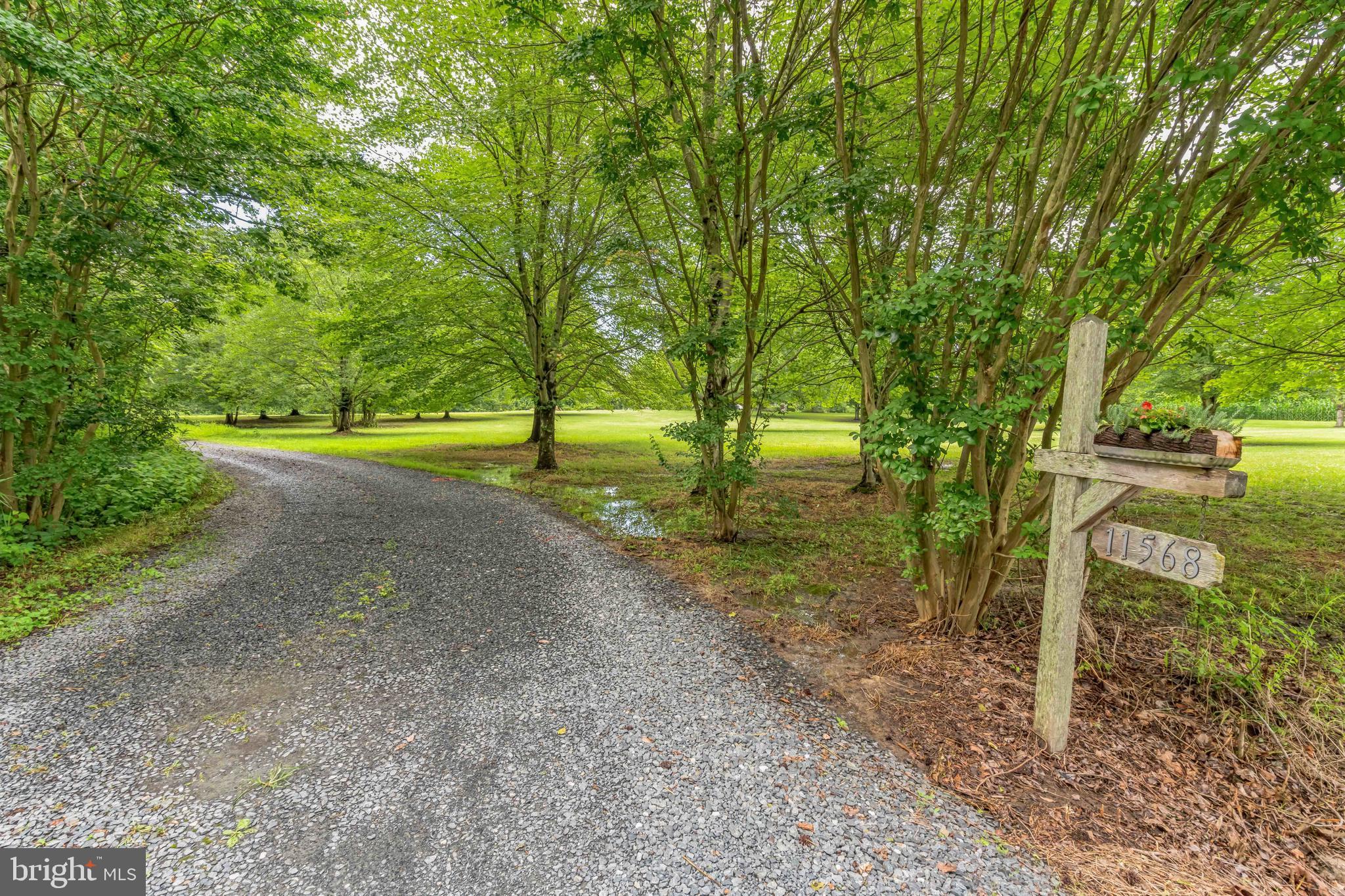 11568 Old Cordova Rd