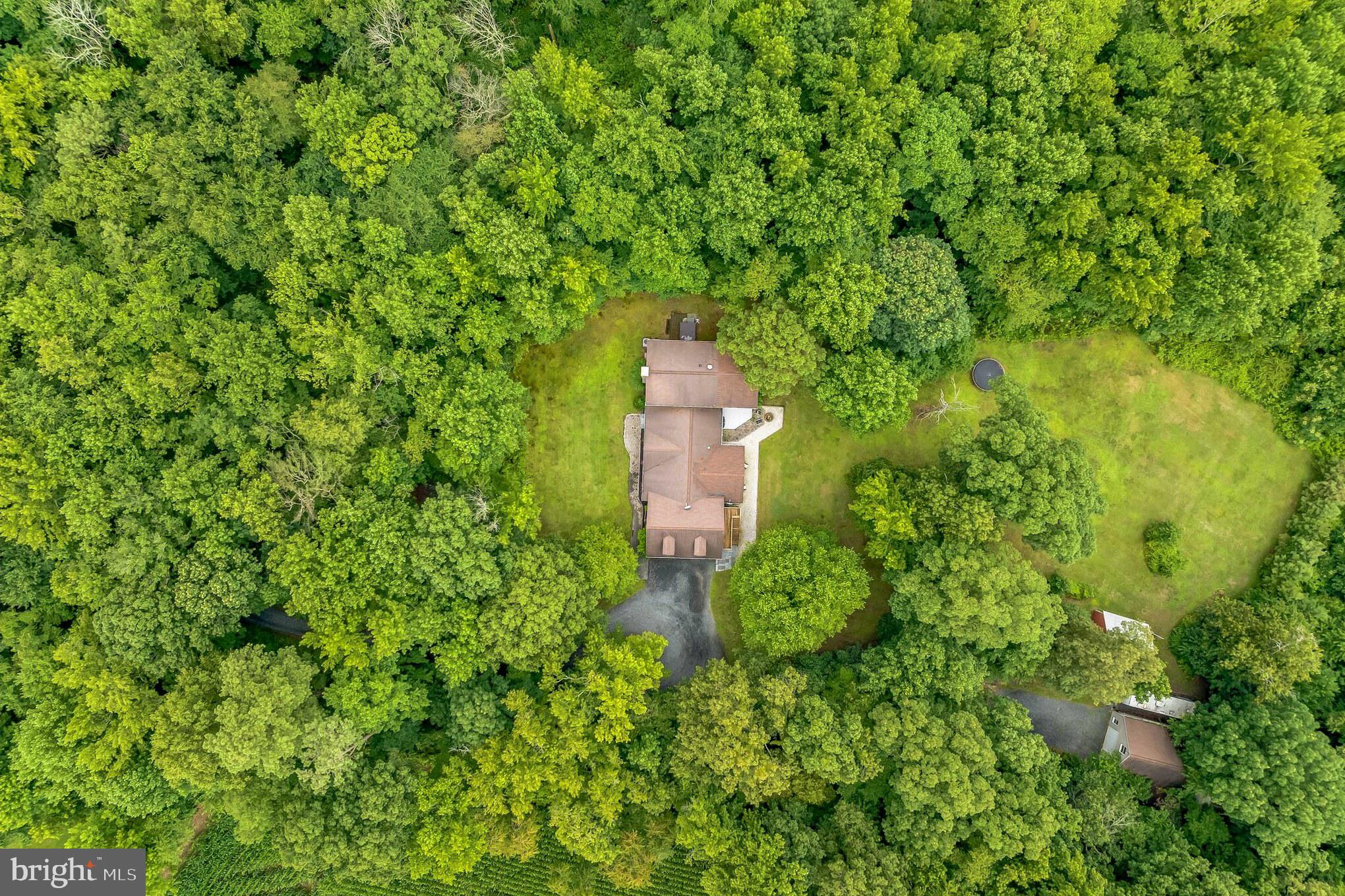 11568 Old Cordova Rd