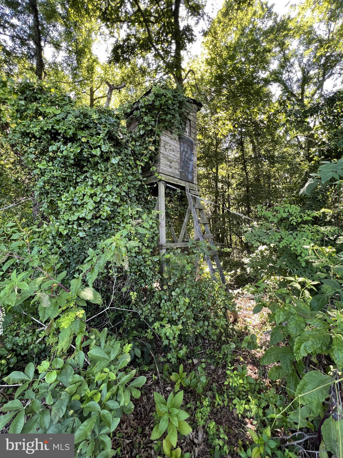 11568 Old Cordova Rd