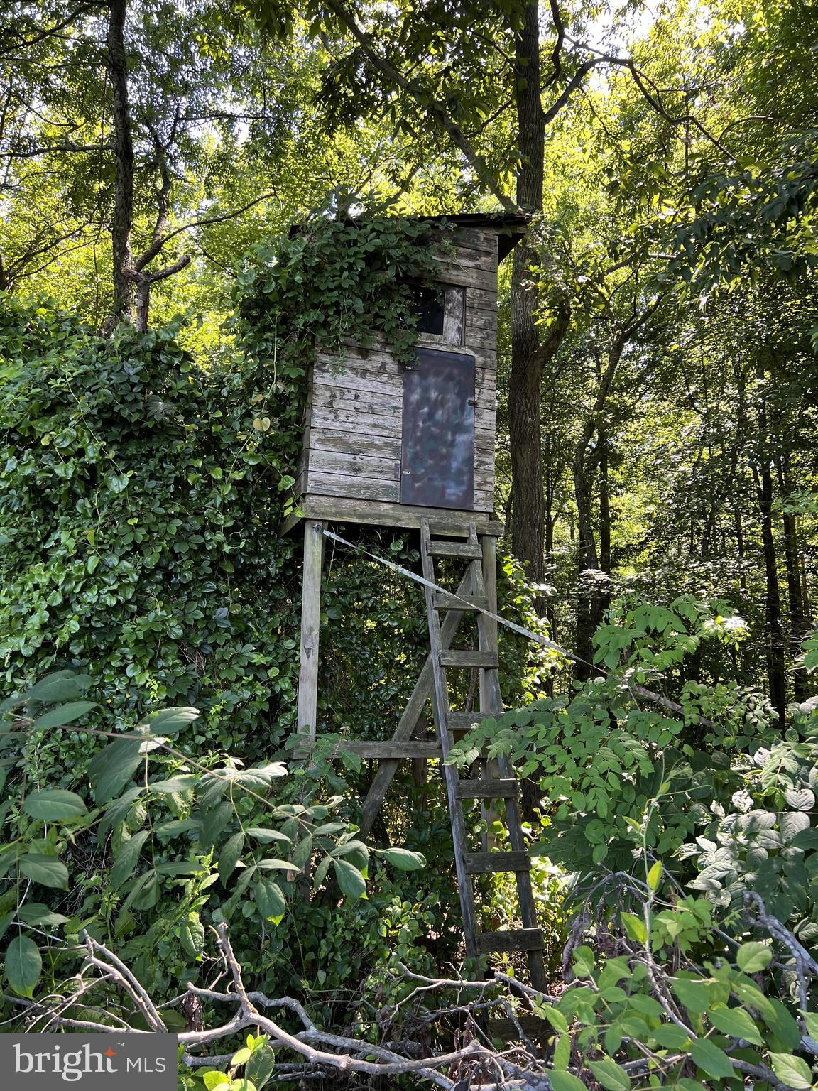 11568 Old Cordova Rd