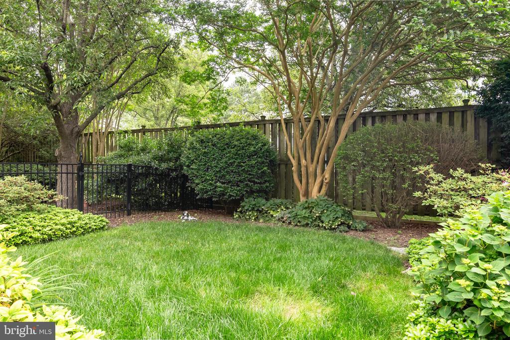 28527 Augusta Ct