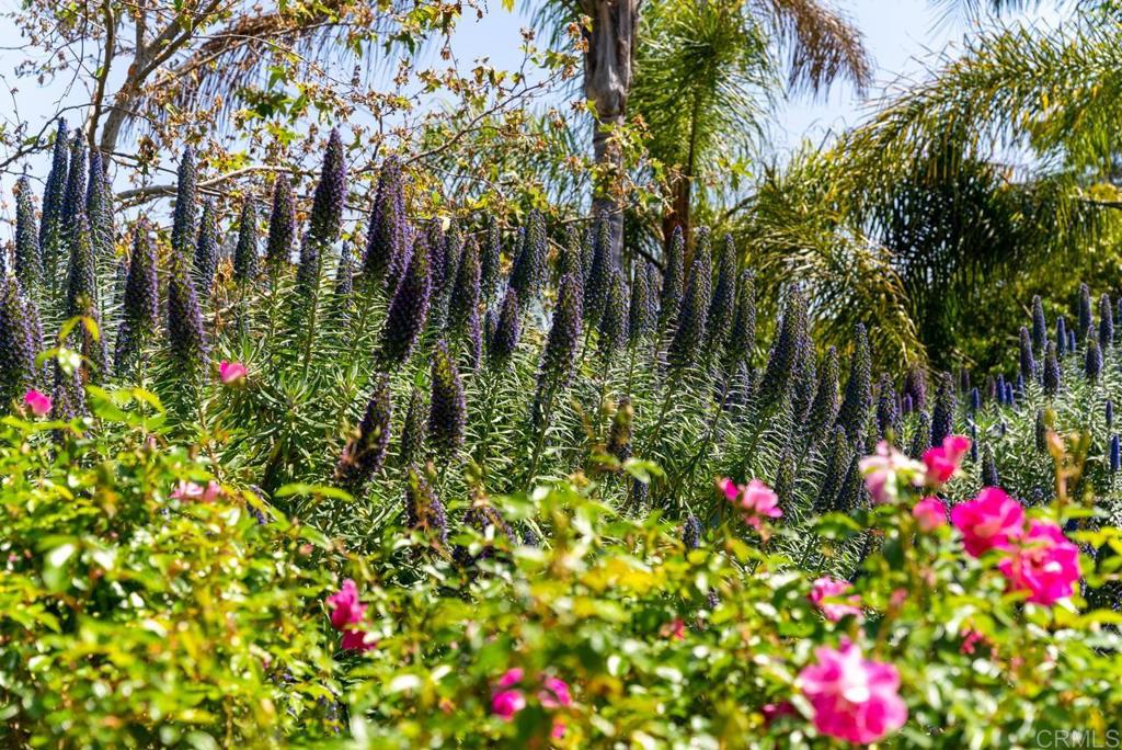 1444 N Twin Oaks Valley RD