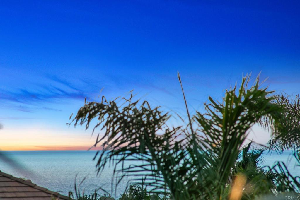 6557 Coneflower Drive