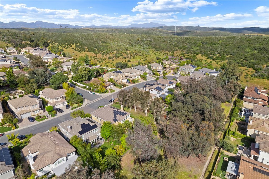 10202 Pinecastle Street