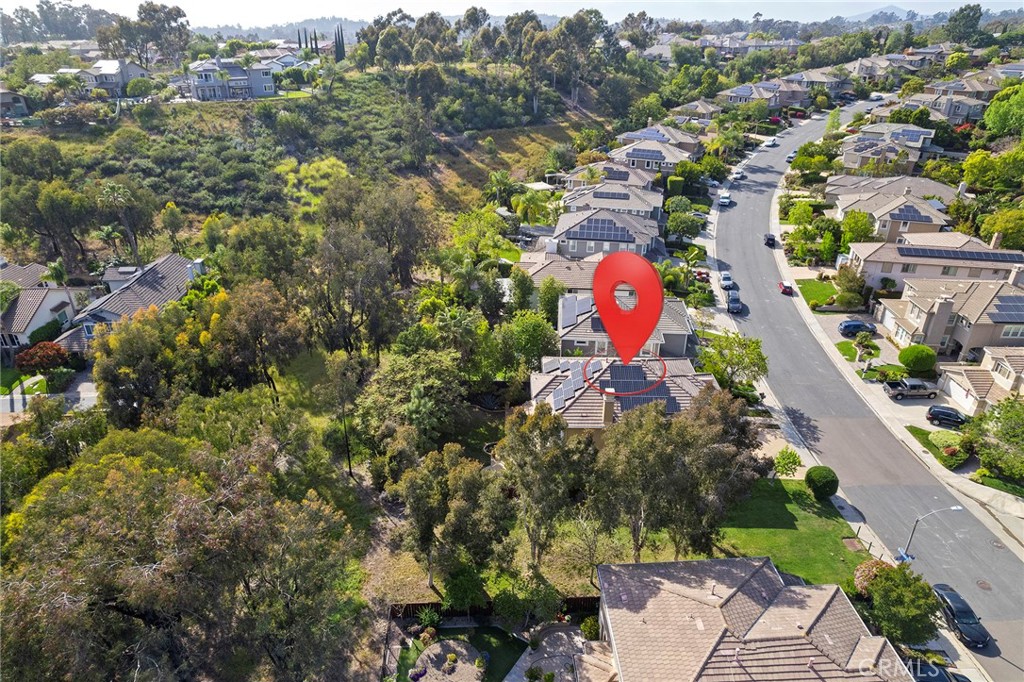 10202 Pinecastle Street