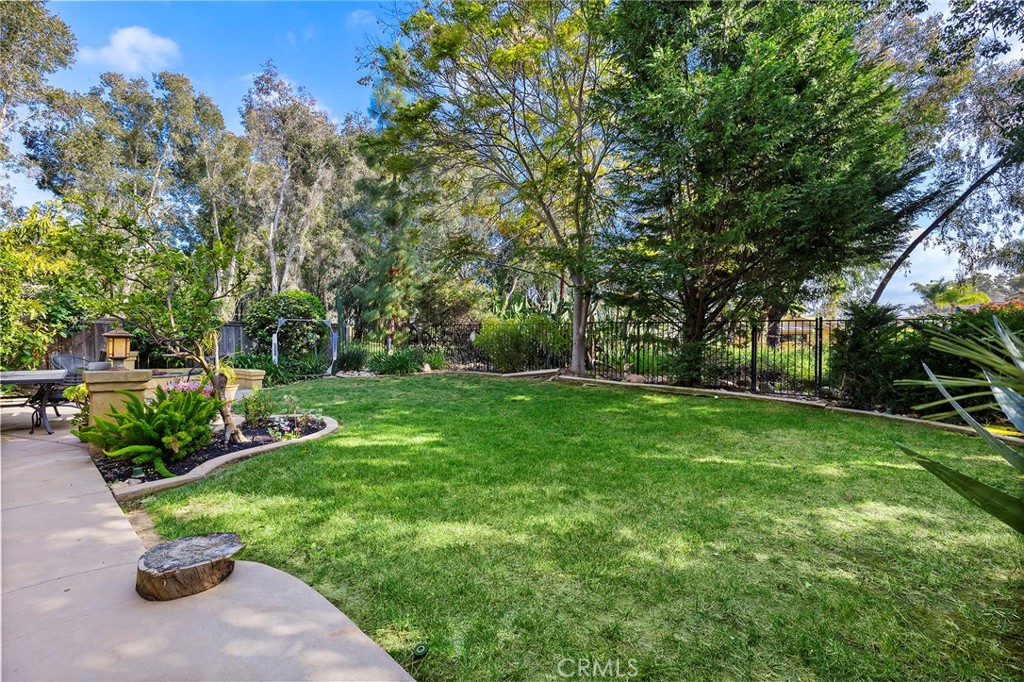 10202 Pinecastle Street