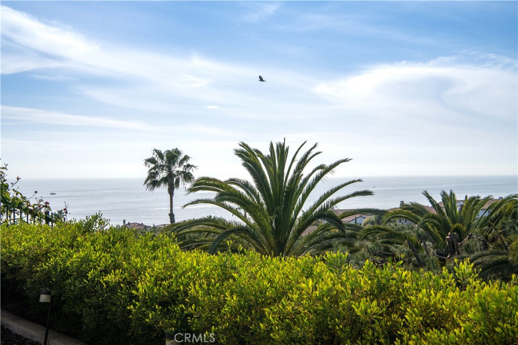 6 6 Surfspray Bluff