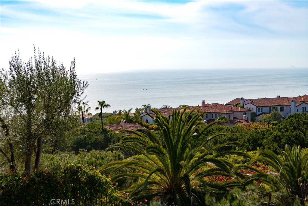 6 6 Surfspray Bluff