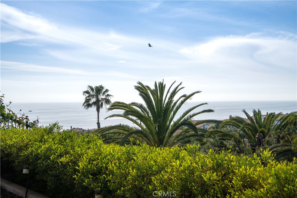 6 6 Surfspray Bluff