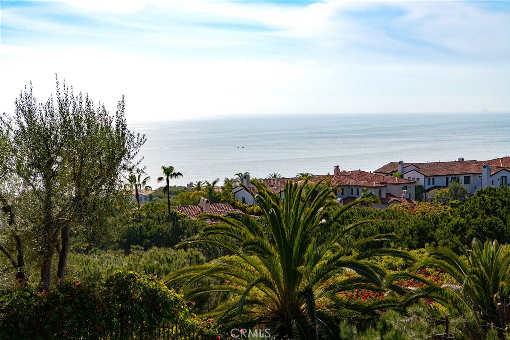 6 6 Surfspray Bluff