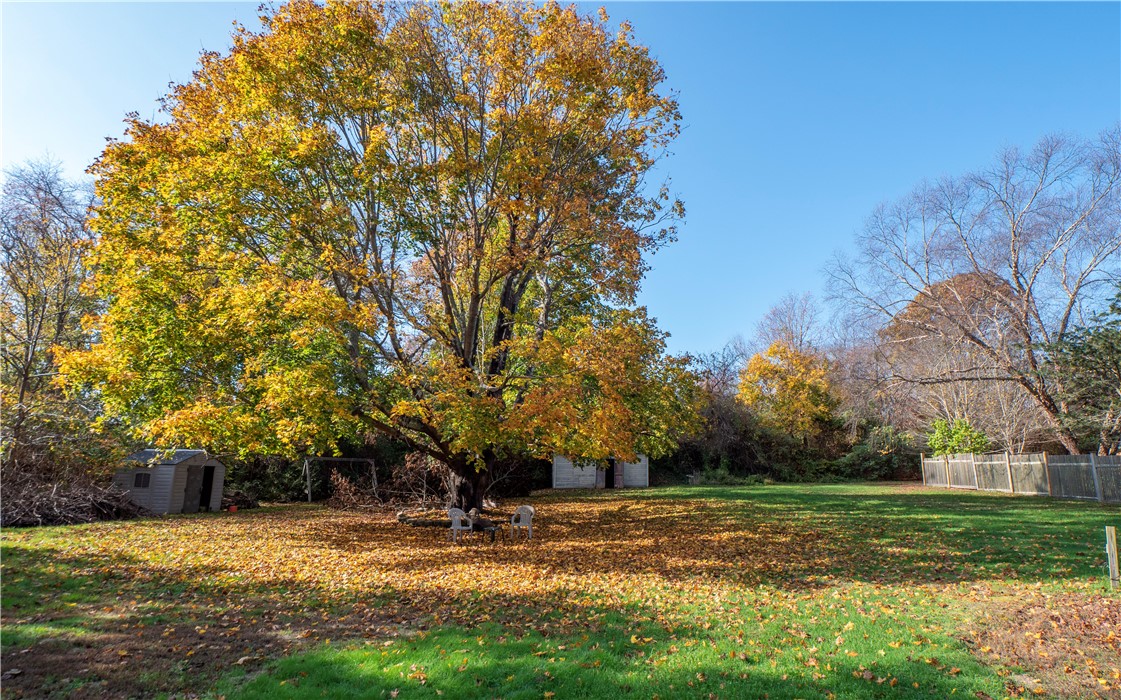 3785 Main Road