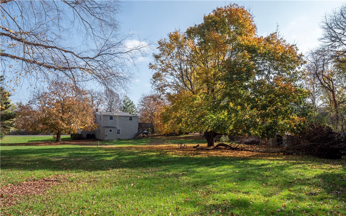3785 Main Road