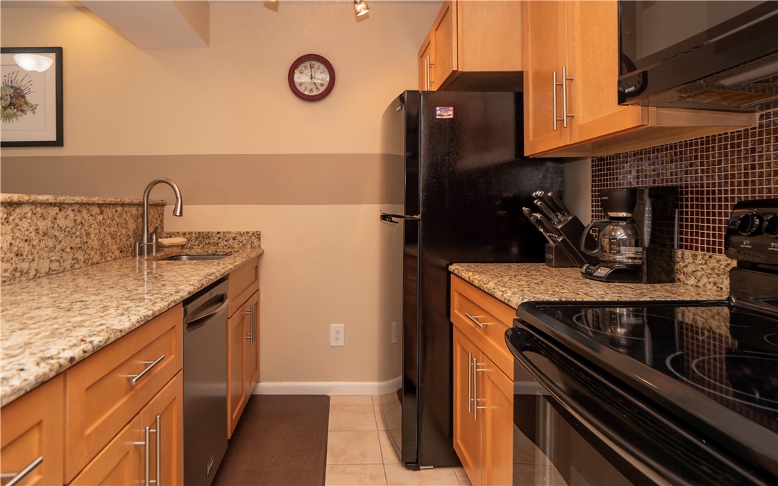 125 Van Zandt Avenue 205