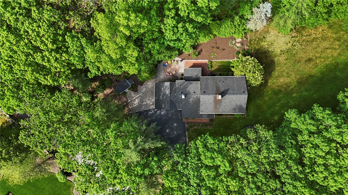 516 Black Plain Road