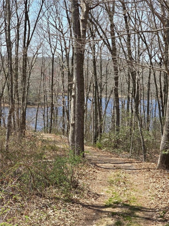 74 Blue Pond Trail