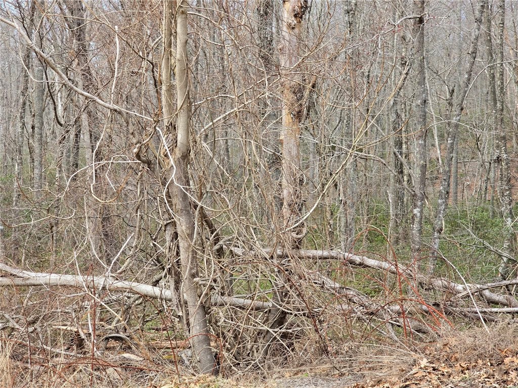 74 Blue Pond Trail