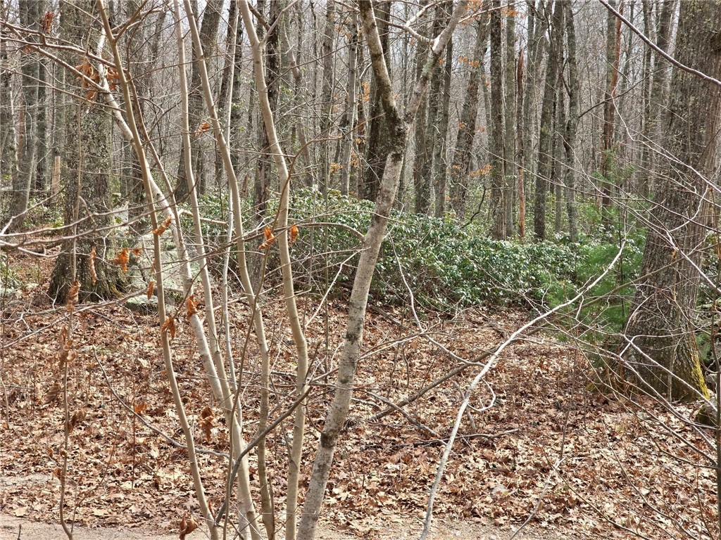 74 Blue Pond Trail