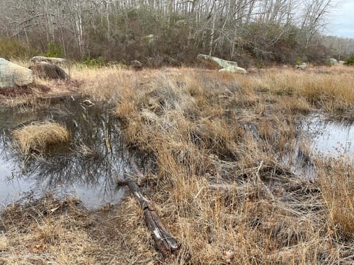 74 Blue Pond Trail
