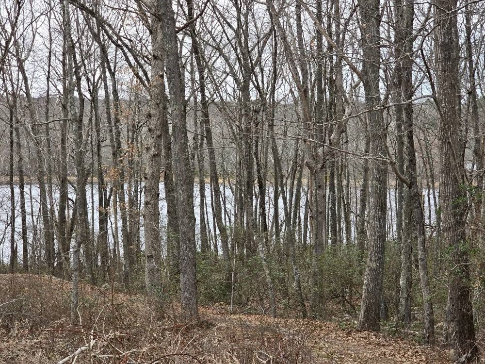 74 Blue Pond Trail