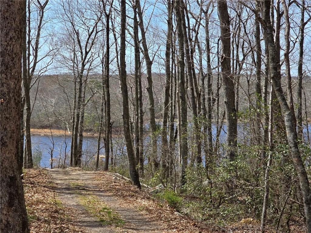 74 Blue Pond Trail