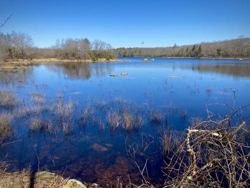 74 Blue Pond Trail