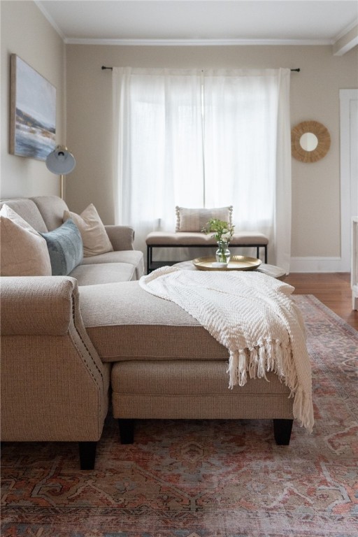 17 Mcallister Street