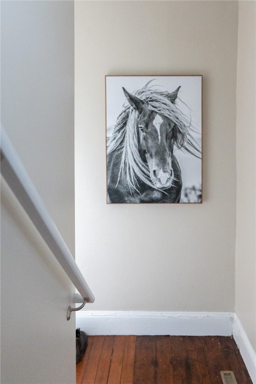 17 Mcallister Street