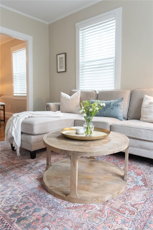 17 Mcallister Street