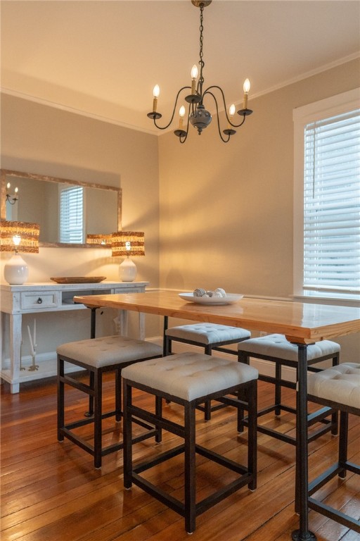 17 Mcallister Street