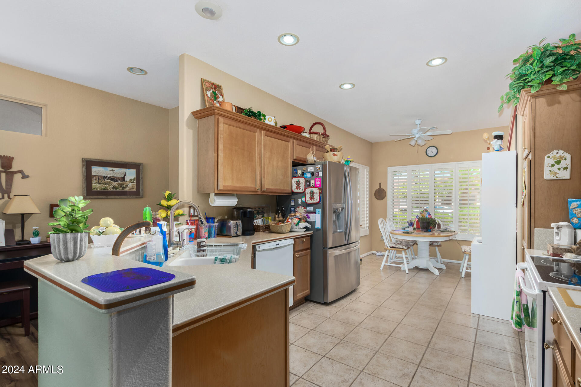 16235 W MOUNTAIN PASS Drive