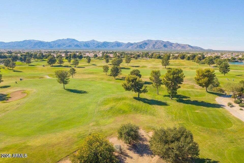 17434 N JAVELINA Drive