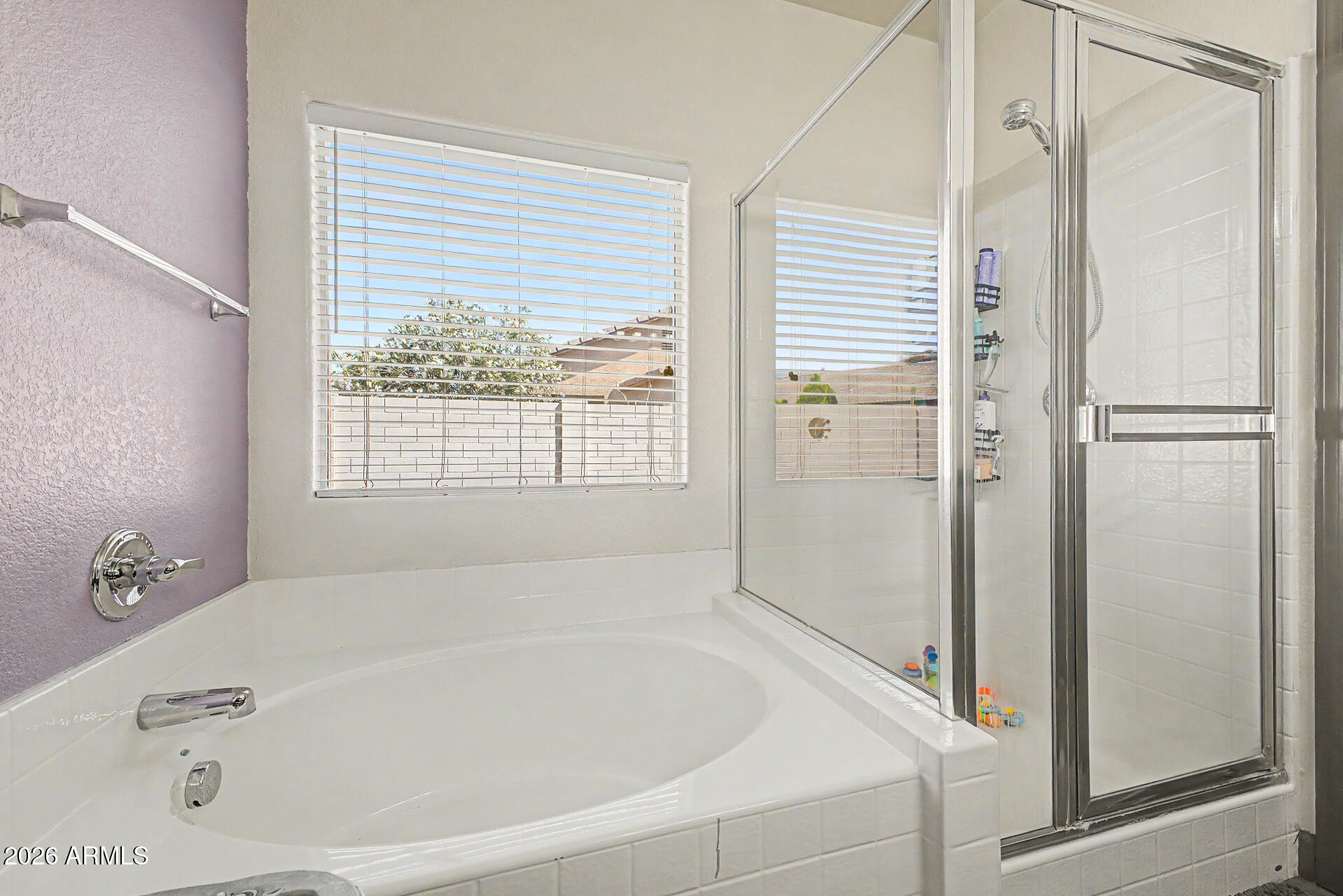 14658 W CROCUS Drive