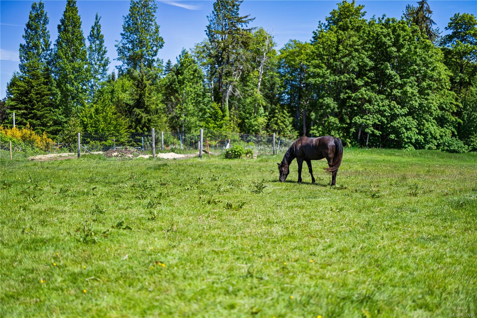 Lot A Castle Dr