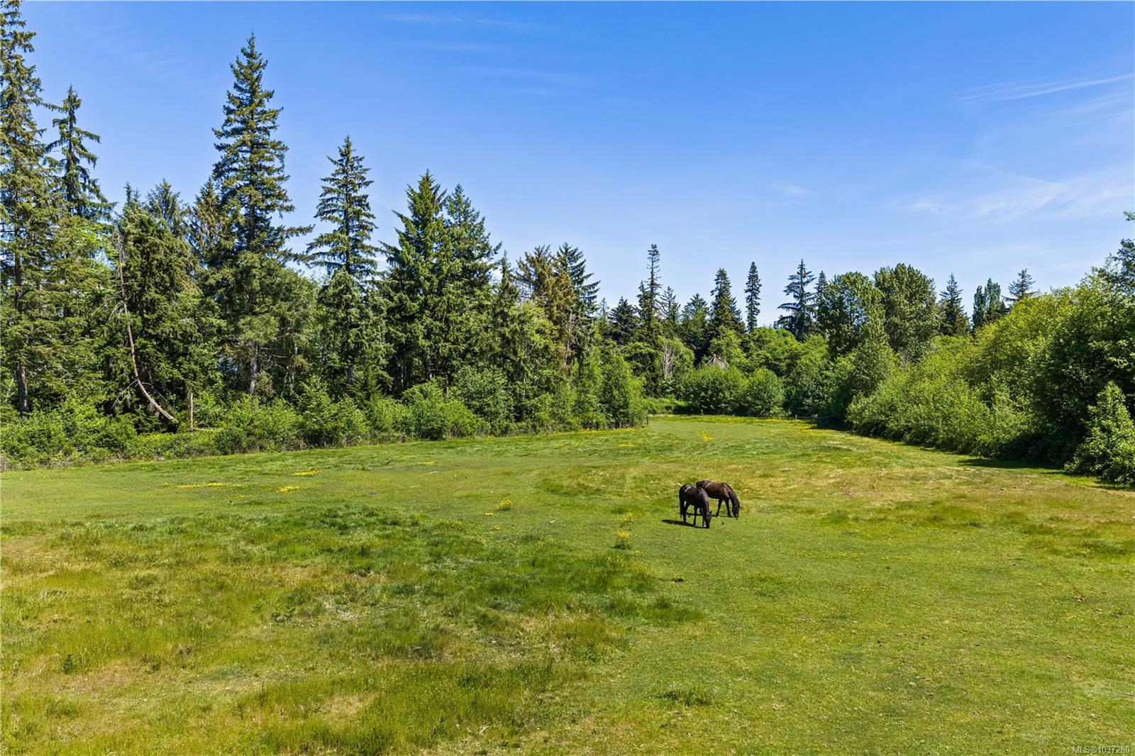 Lot A Castle Dr