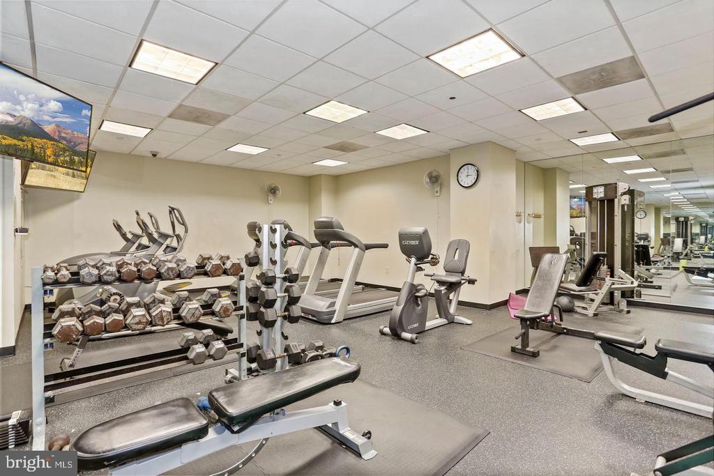 1150 K ST NW #310