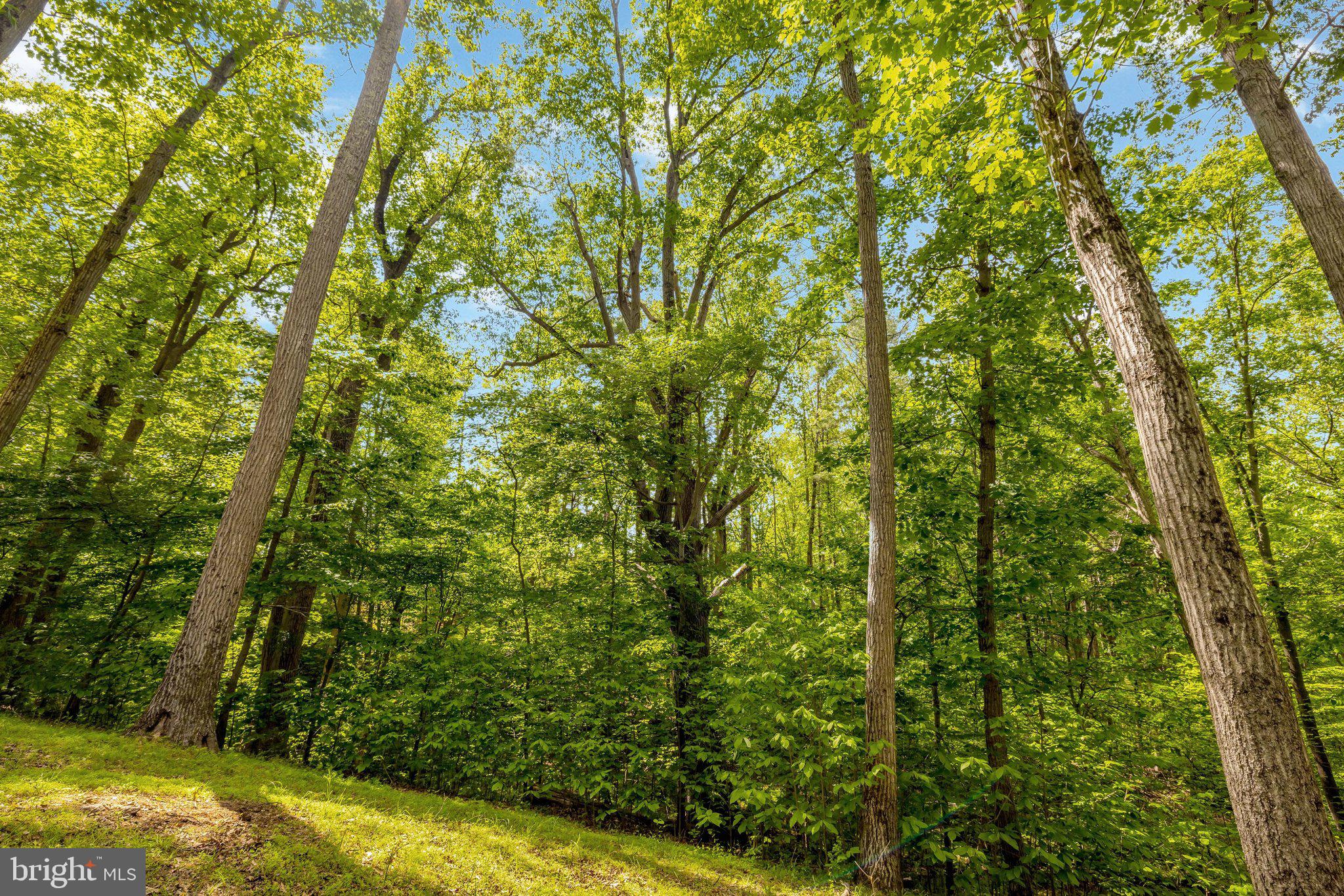 105 INTERPROMONTORY ROAD