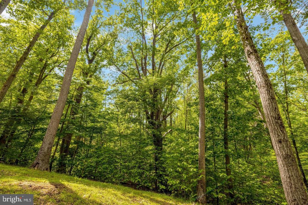 105 INTERPROMONTORY ROAD