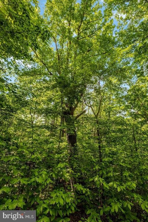 105 INTERPROMONTORY ROAD