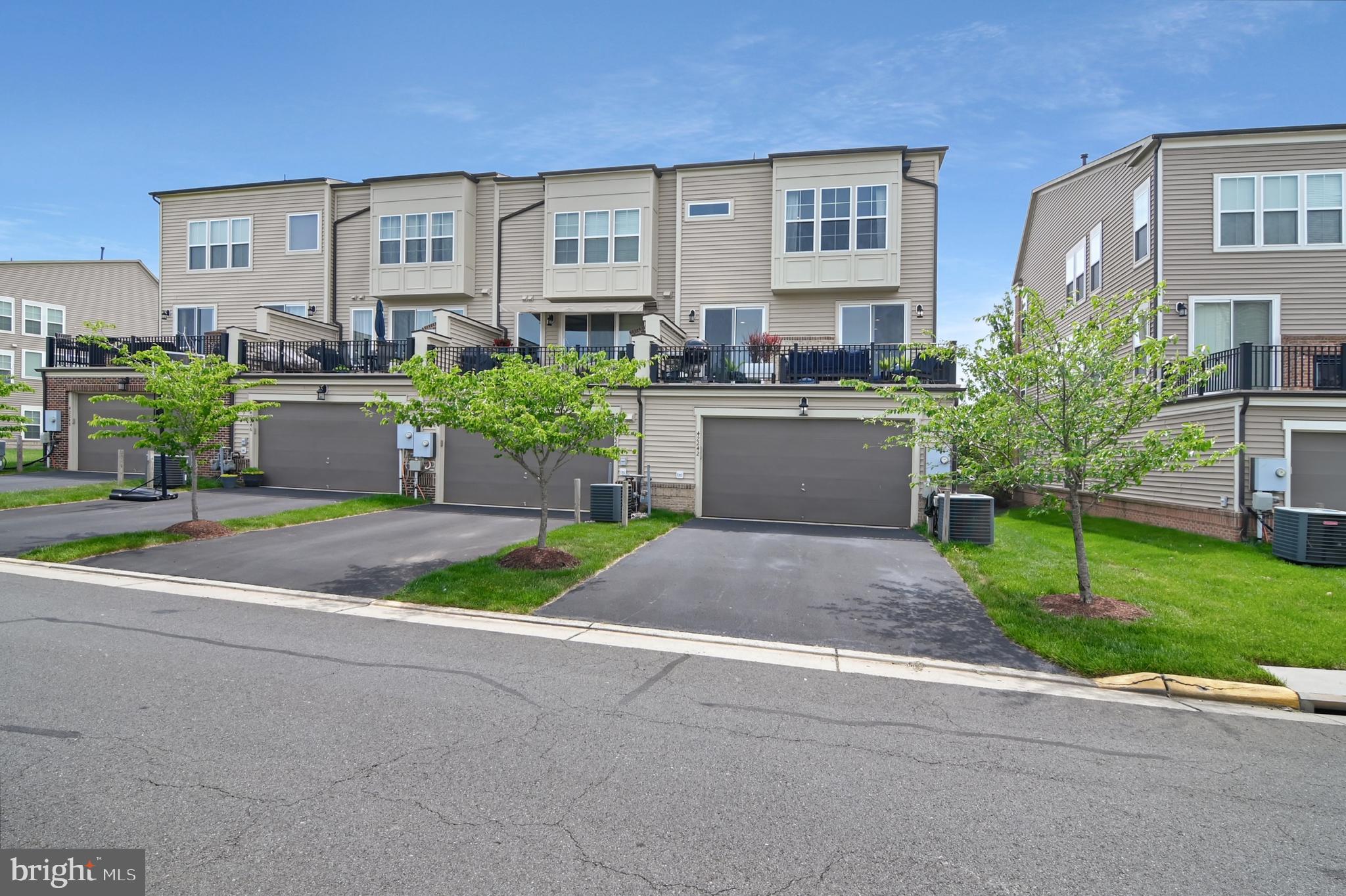 42242 Palladian Blue Ter