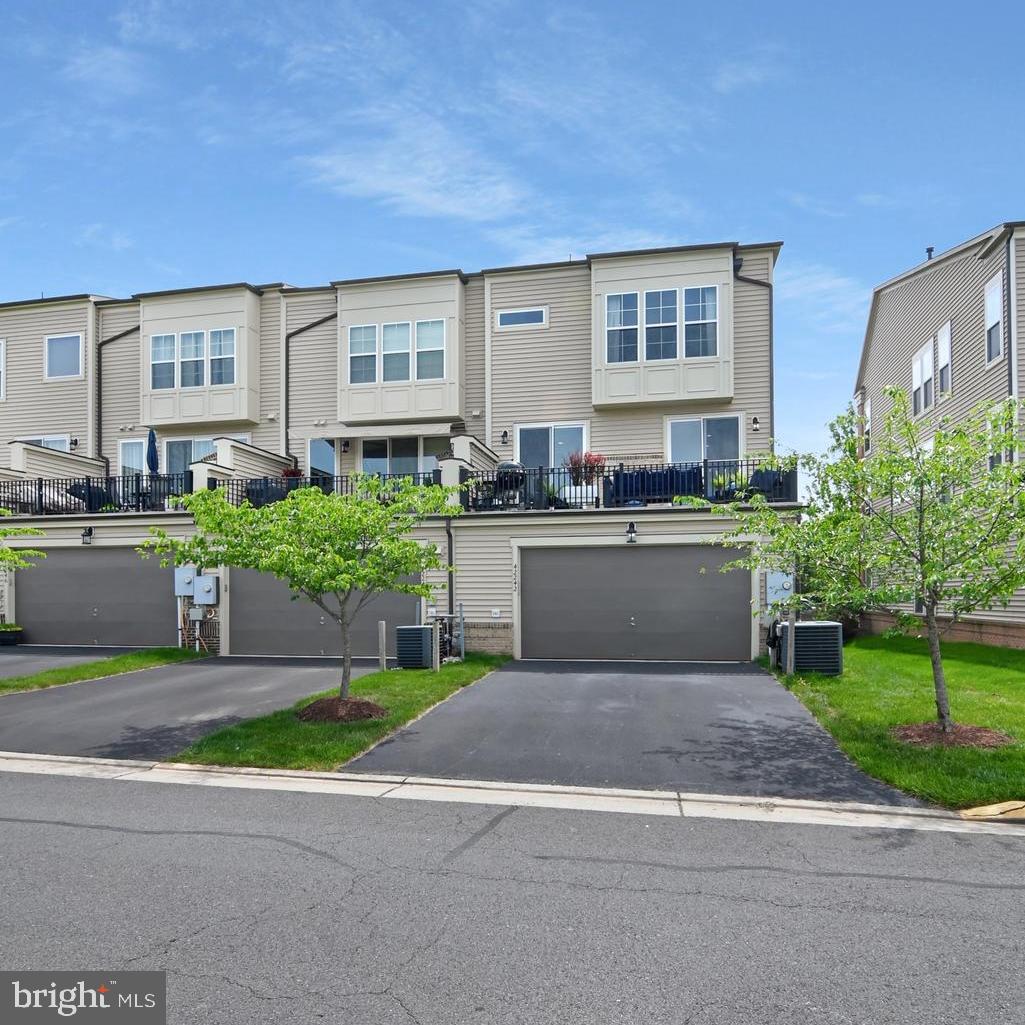 42242 Palladian Blue Ter