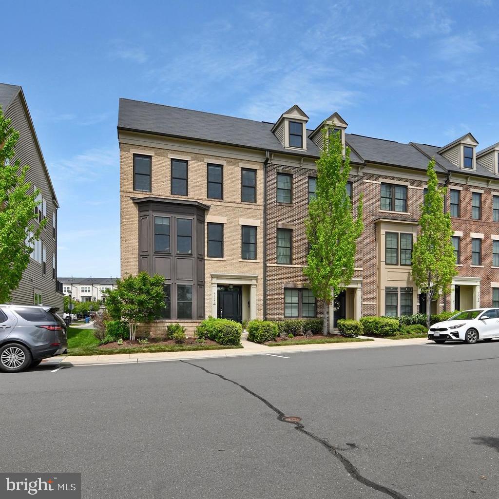 42242 Palladian Blue Ter