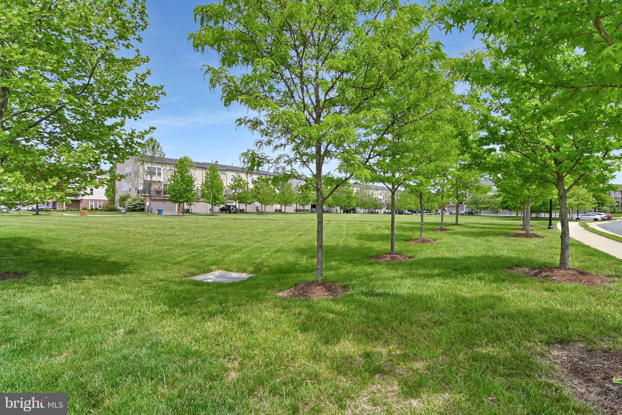 42242 Palladian Blue Ter