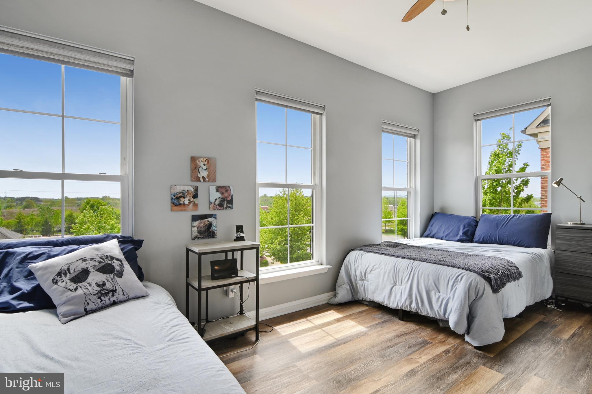 42242 Palladian Blue Ter